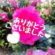 ヒメ日記 2024/12/25 13:03 投稿 詩衣(しい) 相模原人妻城