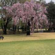 ヒメ日記 2026/04/03 20:07 投稿 うみ One More奥様　厚木店