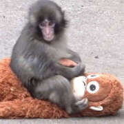 ヒメ日記 2026/03/02 17:31 投稿 なぎさちゃん ちょい！ぽちゃロリ倶楽部Hip's馬橋店