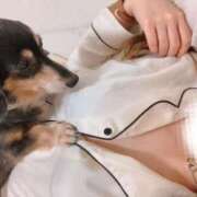 ヒメ日記 2025/04/29 19:00 投稿 あゆ ミセス ファースト -お姉さん・若妻専門店-