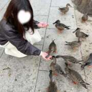 ヒメ日記 2025/12/31 19:00 投稿 あゆ ミセス ファースト -お姉さん・若妻専門店-