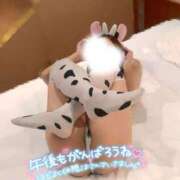 ヒメ日記 2026/04/08 12:15 投稿 あゆ ミセス ファースト -お姉さん・若妻専門店-