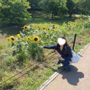 ヒメ日記 2026/06/14 08:15 投稿 あゆ ミセス ファースト -お姉さん・若妻専門店-