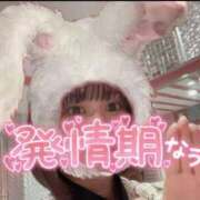 ヒメ日記 2025/01/05 00:27 投稿 たお マリン宮殿雄琴店