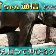 ヒメ日記 2025/08/13 22:37 投稿 たお マリン宮殿雄琴店