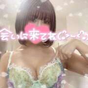 ヒメ日記 2025/11/15 12:10 投稿 たお マリン宮殿雄琴店