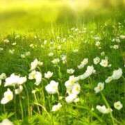 ヒメ日記 2024/12/17 21:57 投稿 青波すみれ お姉さんCLUB