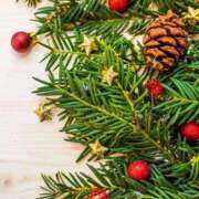 ヒメ日記 2024/12/19 20:57 投稿 青波すみれ お姉さんCLUB