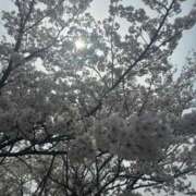 ヒメ日記 2025/04/06 20:44 投稿 にな キャンパスサミット　千葉店