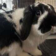 にな おはよ キャンパスサミット　千葉店