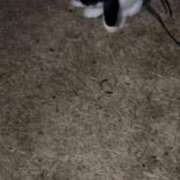 にな おはよ キャンパスサミット　千葉店