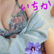 ヒメ日記 2025/07/07 11:18 投稿 いちか TSUBAKI（水戸）