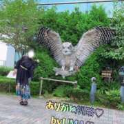 ヒメ日記 2025/09/04 16:45 投稿 優馬【ユウマ】 輝女