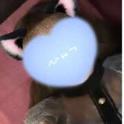 ヒメ日記 2026/02/19 18:45 投稿 のえ バイオレンス