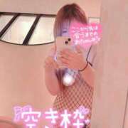 ヒメ日記 2026/02/04 14:28 投稿 くみ 成田富里インターちゃんこ