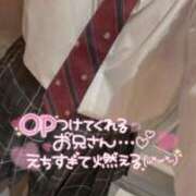 ヒメ日記 2026/02/06 02:38 投稿 くみ 成田富里インターちゃんこ