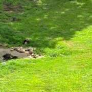 ヒメ日記 2025/08/07 10:33 投稿 美咲-misaki- MANDALA