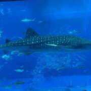 ヒメ日記 2025/09/14 10:34 投稿 美咲-misaki- MANDALA