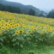 ヒメ日記 2025/09/29 10:12 投稿 美咲-misaki- MANDALA