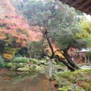 ヒメ日記 2025/11/14 09:49 投稿 美咲-misaki- MANDALA