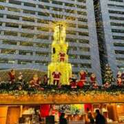 ヒメ日記 2025/11/15 12:05 投稿 美咲-misaki- MANDALA