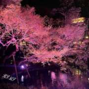 ヒメ日記 2025/03/01 23:01 投稿 きみ クラブ貴公子