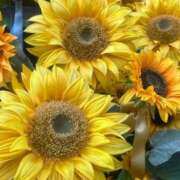 ヒメ日記 2025/07/22 14:41 投稿 きみ クラブ貴公子