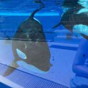 ヒメ日記 2025/08/04 21:03 投稿 きみ クラブ貴公子