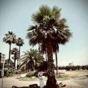 雅(みやび) 好きな色は何色？ 天国にいちばん近い島　ニューカレドニア式高級アロマエステ(カサブランカグループ)