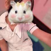 ヒメ日記 2025/12/08 20:13 投稿 らん 横浜しこたまクリニック