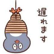 ヒメ日記 2025/02/07 10:55 投稿 芹（せり） 男爵