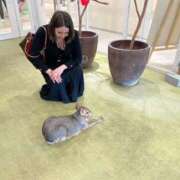 ヒメ日記 2025/05/03 18:16 投稿 芹（せり） 男爵