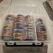 ヒメ日記 2025/06/26 15:46 投稿 芹（せり） 男爵