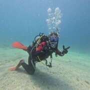 ヒメ日記 2025/07/29 15:44 投稿 芹（せり） 男爵