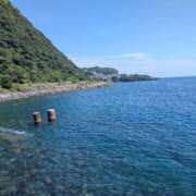 ヒメ日記 2025/08/06 11:29 投稿 芹（せり） 男爵