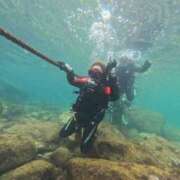ヒメ日記 2025/09/18 17:21 投稿 芹（せり） 男爵