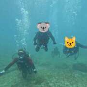 ヒメ日記 2025/09/18 17:30 投稿 芹（せり） 男爵