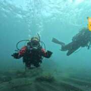 ヒメ日記 2025/11/08 22:38 投稿 芹（せり） 男爵