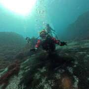 ヒメ日記 2025/12/10 17:23 投稿 芹（せり） 男爵