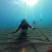 ヒメ日記 2025/12/18 17:46 投稿 芹（せり） 男爵