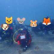 ヒメ日記 2026/03/27 12:25 投稿 芹（せり） 男爵