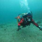 ヒメ日記 2026/04/02 14:27 投稿 芹（せり） 男爵