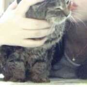 ヒメ日記 2025/02/11 00:36 投稿 なつみ VIVIDCREWマダムセカンドバージン 梅田店