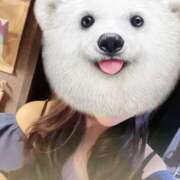 ヒメ日記 2025/05/10 12:00 投稿 なつみ VIVIDCREWマダムセカンドバージン 梅田店