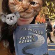 ヒメ日記 2026/01/30 13:55 投稿 なつみ VIVIDCREWマダムセカンドバージン 梅田店