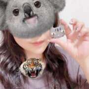 ヒメ日記 2026/02/12 12:31 投稿 なつみ VIVIDCREWマダムセカンドバージン 梅田店