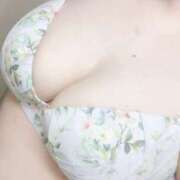 ヒメ日記 2025/03/24 07:27 投稿 りん 岐阜岐南各務原ちゃんこ