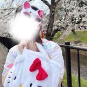 ヒメ日記 2025/03/31 14:17 投稿 りん 岐阜岐南各務原ちゃんこ