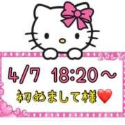ヒメ日記 2025/04/08 13:17 投稿 りん 岐阜岐南各務原ちゃんこ