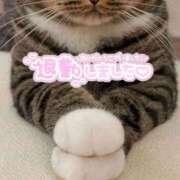 ヒメ日記 2025/05/14 19:37 投稿 りん 岐阜岐南各務原ちゃんこ